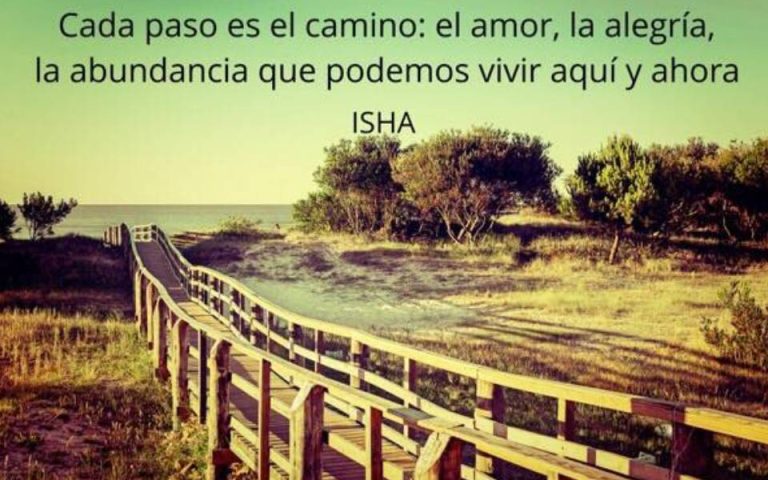 Frase del día