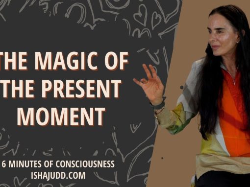 THE MAGIC OF THE PRESENT MOMENT
