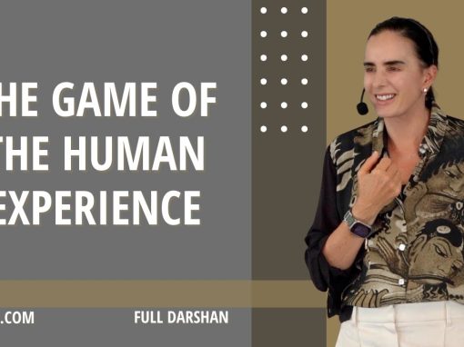 THE GAME OF THE HUMAN EXPERIENCE
